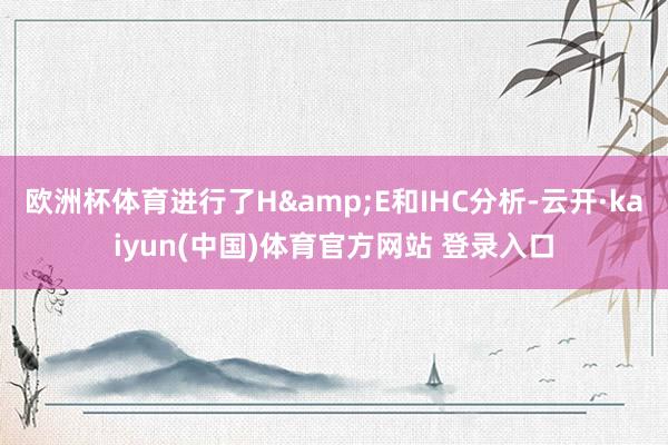 欧洲杯体育进行了H&E和IHC分析-云开·kaiyun(中国)体育官方网站 登录入口