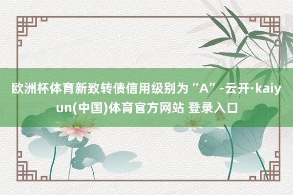 欧洲杯体育新致转债信用级别为“A”-云开·kaiyun(中国)体育官方网站 登录入口