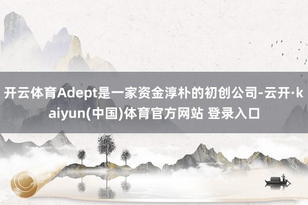 开云体育Adept是一家资金淳朴的初创公司-云开·kaiyun(中国)体育官方网站 登录入口